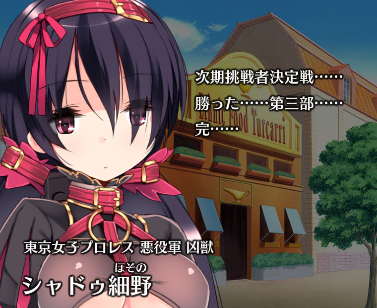 f:id:LITTLEWING:20181112205742j:plain