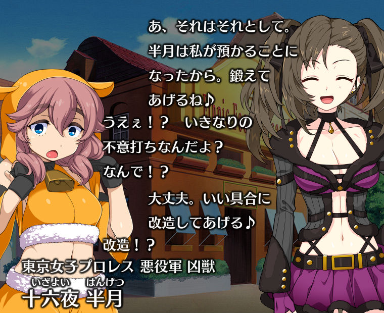 f:id:LITTLEWING:20181112205814j:plain