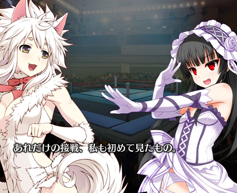 f:id:LITTLEWING:20181125141141j:plain