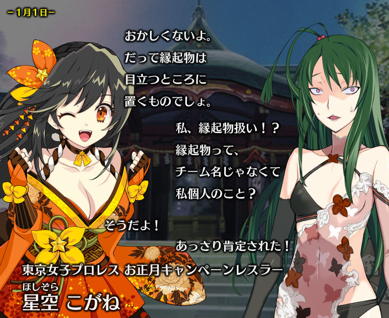 f:id:LITTLEWING:20190101101950j:plain