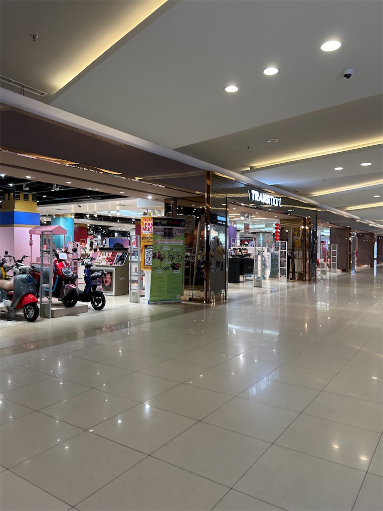 f:id:LLiLy:20240125093043j:image f:id:LLiLy:20240125093043j:image