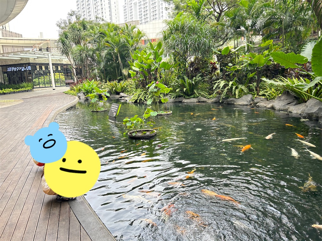 f:id:LLiLy:20240125095328j:image f:id:LLiLy:20240125095328j:image