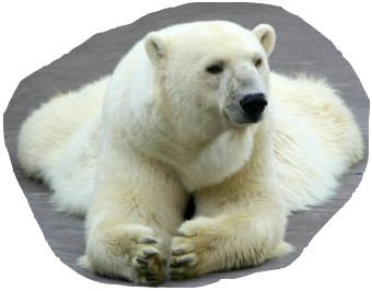 f:id:LM-7:20100322184357j:image:w200