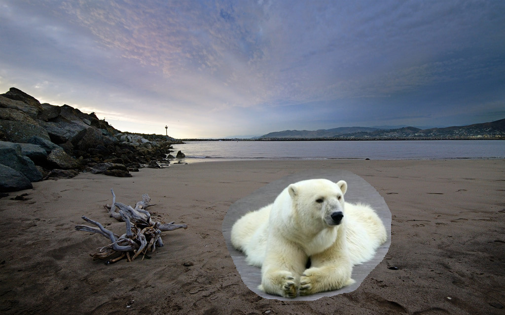 f:id:LM-7:20100322184400j:image:w200