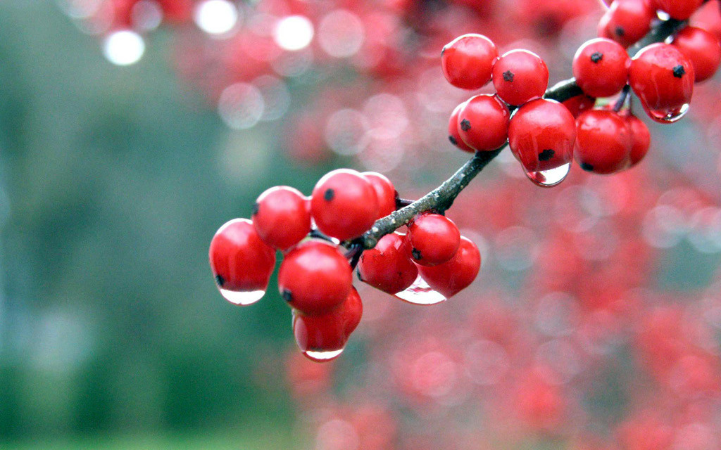 f:id:LM-7:20100322184417j:image:w300