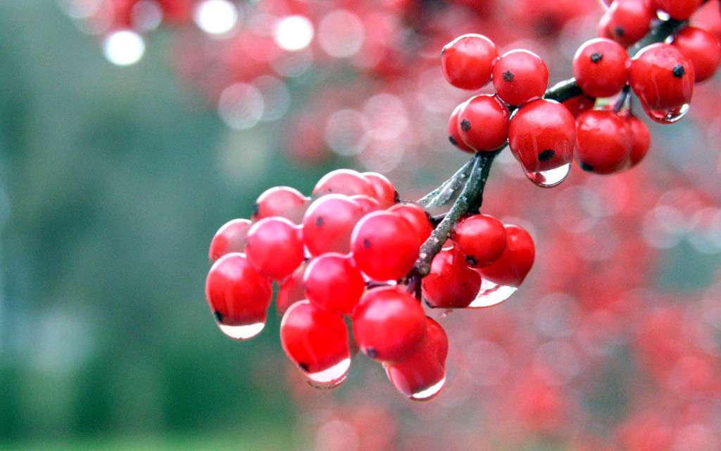 f:id:LM-7:20100322184418j:image:w300