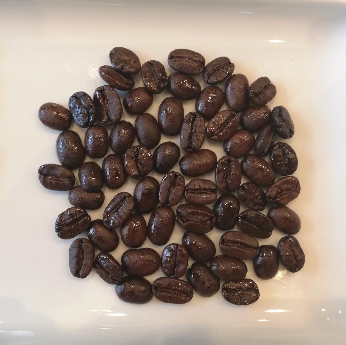 f:id:LOCA:20190403145202j:plain f:id:LOCA:20190403145202j:plain
