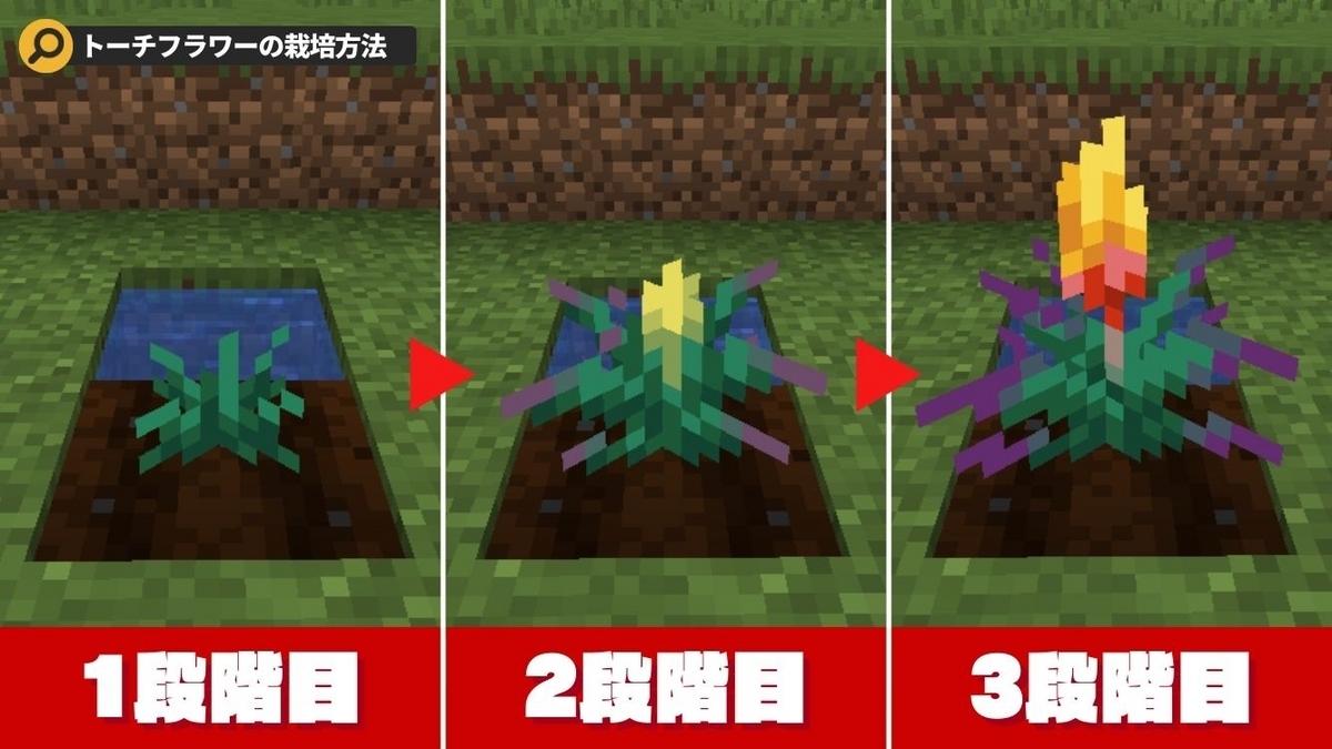  Minecraft でトーチフラワーとピッチャープラントを入手する方法