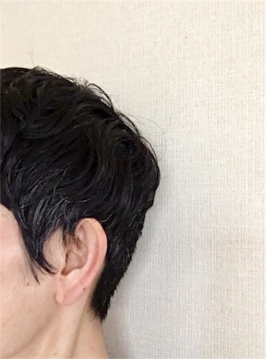 f:id:LONGSLEEPER:20180425145937j:plain f:id:LONGSLEEPER:20180425145937j:plain
