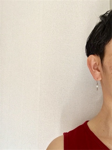 f:id:LONGSLEEPER:20180625164113j:image