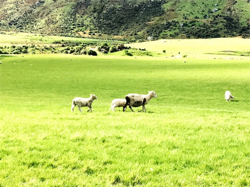 f:id:LONGSLEEPER:20180902163006j:image