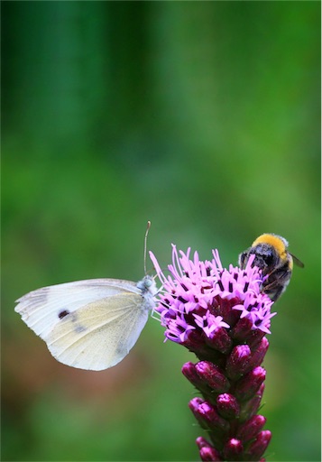 f:id:LONGSLEEPER:20180923165505j:image