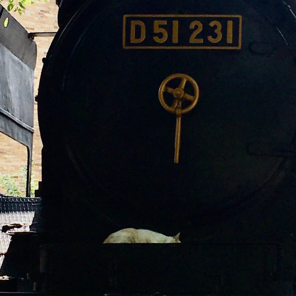 f:id:LONGSLEEPER:20200804100324j:plain f:id:LONGSLEEPER:20200804100324j:plain