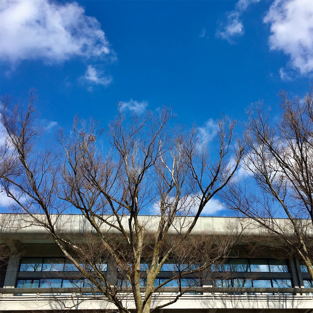 f:id:LONGSLEEPER:20210210115635j:image