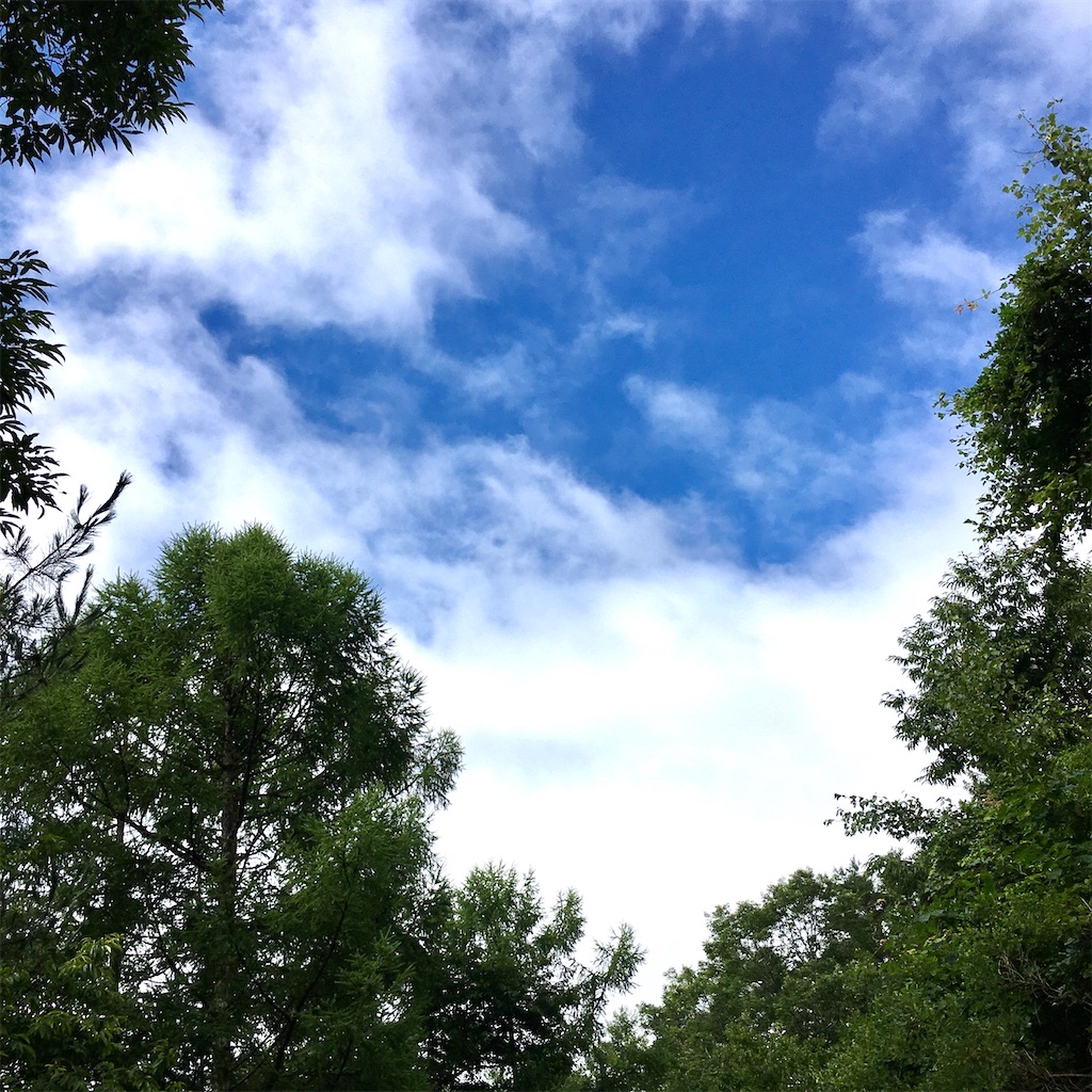 f:id:LONGSLEEPER:20210810181212j:image f:id:LONGSLEEPER:20210810181212j:image