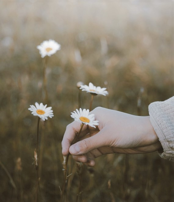 f:id:LONGSLEEPER:20211014161810j:plain