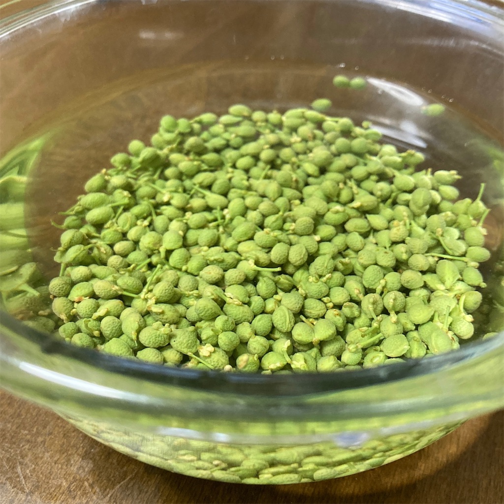 f:id:LONGSLEEPER:20220516180027j:image