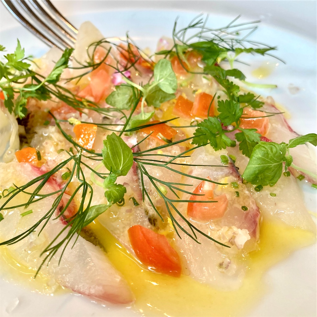 希望の轍とは 音楽の人気 最新記事を集めました はてな