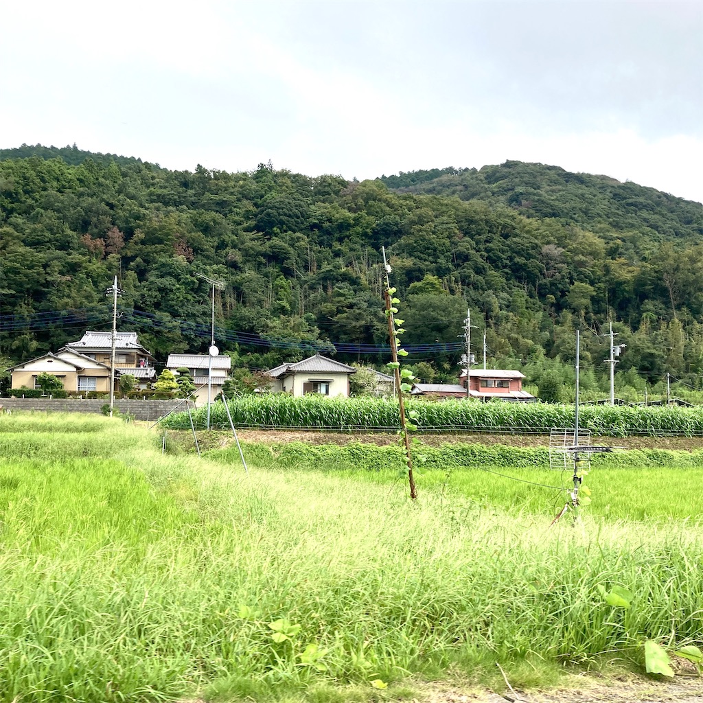 f:id:LONGSLEEPER:20220924174916j:image f:id:LONGSLEEPER:20220924174916j:image
