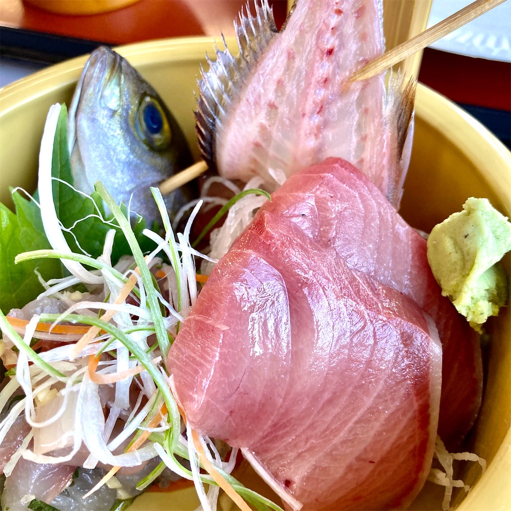 f:id:LONGSLEEPER:20221107141702j:image