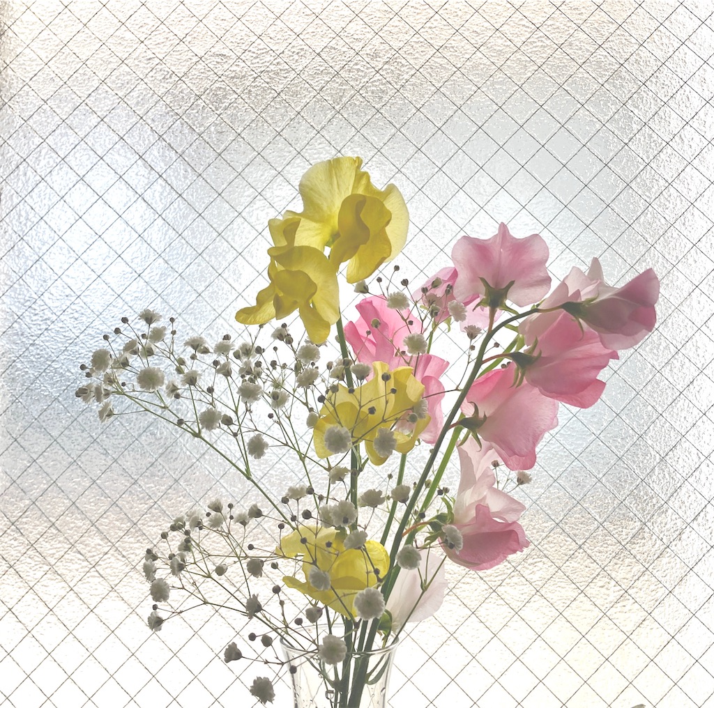 f:id:LONGSLEEPER:20230202131311j:image f:id:LONGSLEEPER:20230202131311j:image