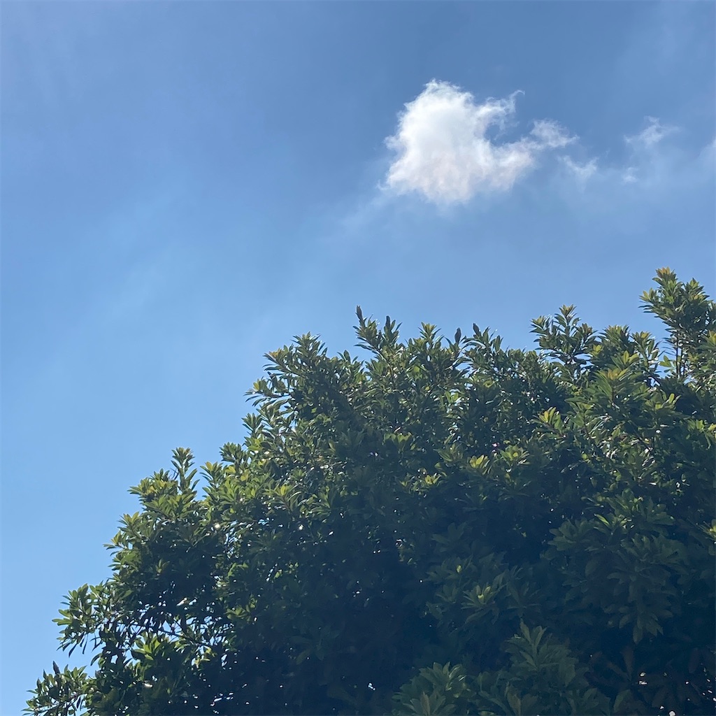 f:id:LONGSLEEPER:20230618143405j:image