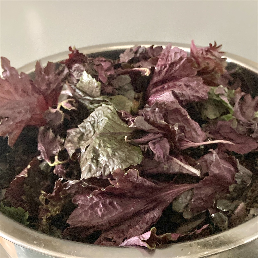 f:id:LONGSLEEPER:20250609140916j:image f:id:LONGSLEEPER:20250609140916j:image