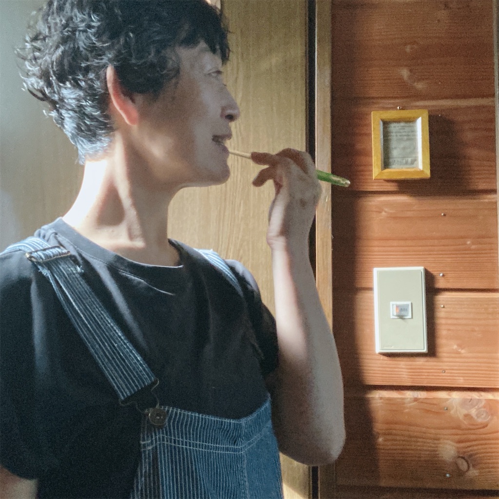 f:id:LONGSLEEPER:20260728125042j:image