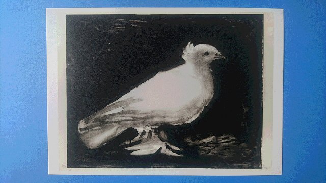 パブロ ピカソ ポスター リトグラフ ゲルニカ 平和の鳩 猫