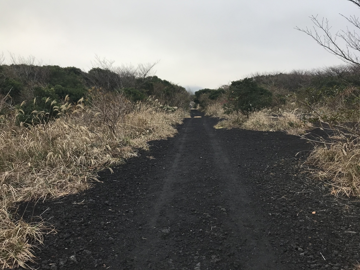 f:id:LOVEowataro:20191211023210j:plain