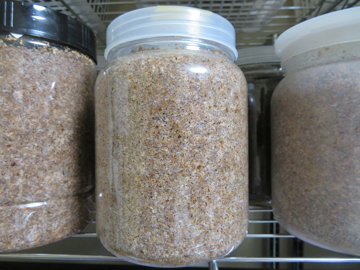 f:id:LOWchan:20200817224302j:plain