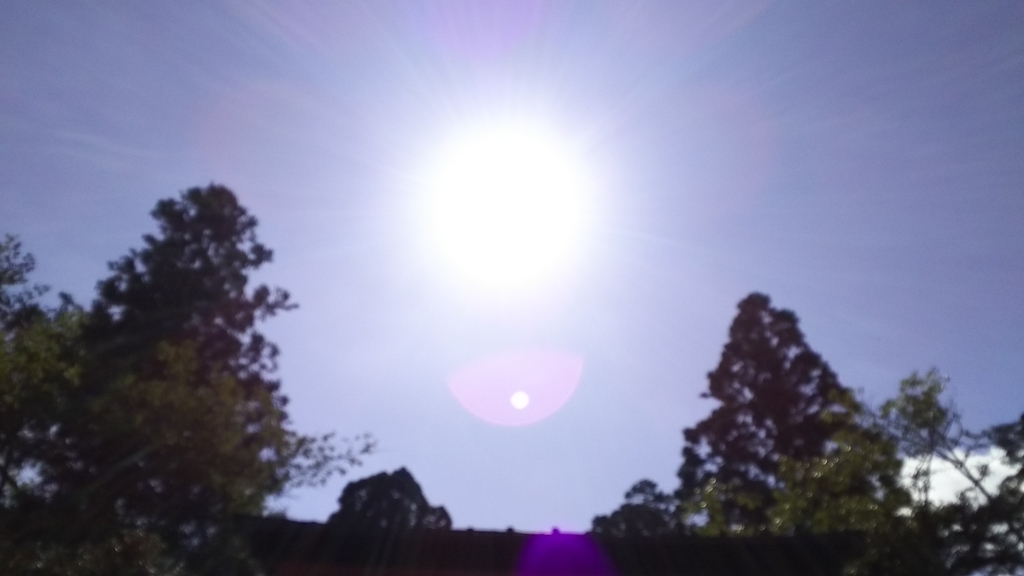 f:id:LSM:20181002095921j:plain f:id:LSM:20181002095921j:plain