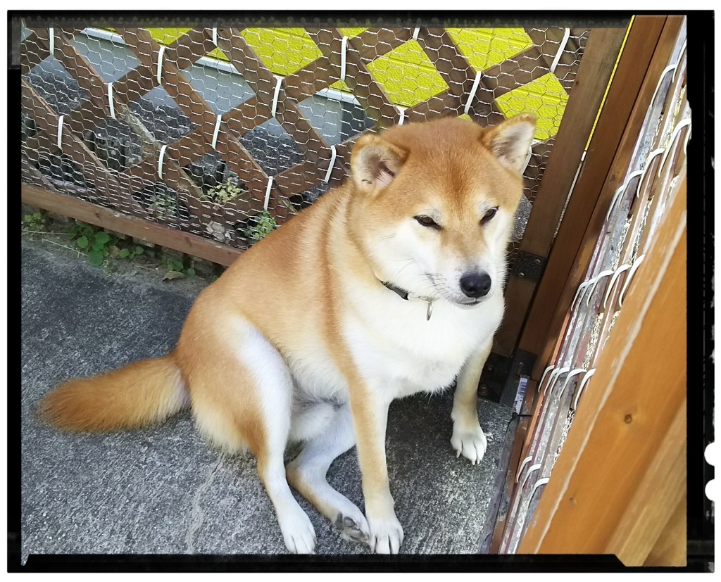 f:id:LSM:20181026090846j:plain
