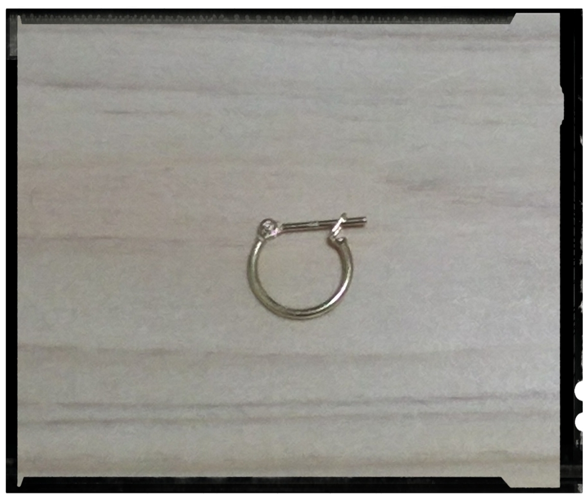 f:id:LSM:20190621170459j:plain