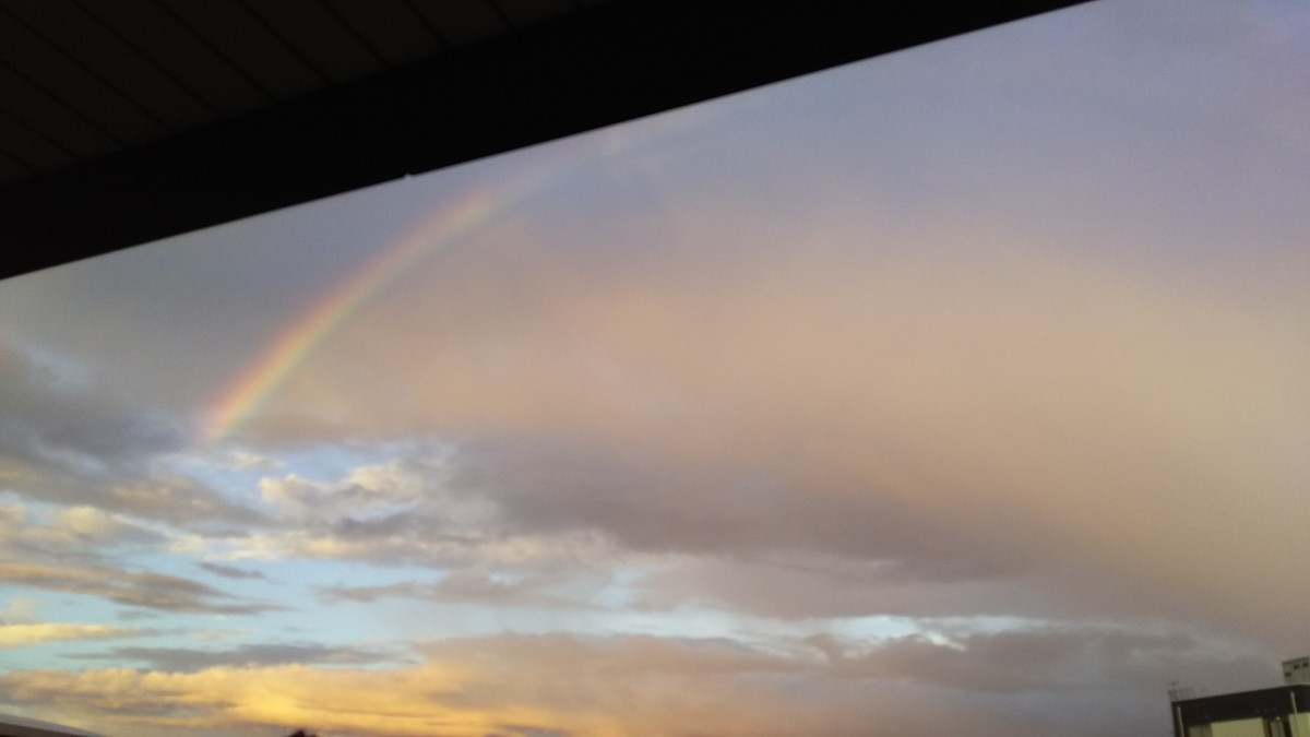 f:id:LSM:20190727082418j:plain