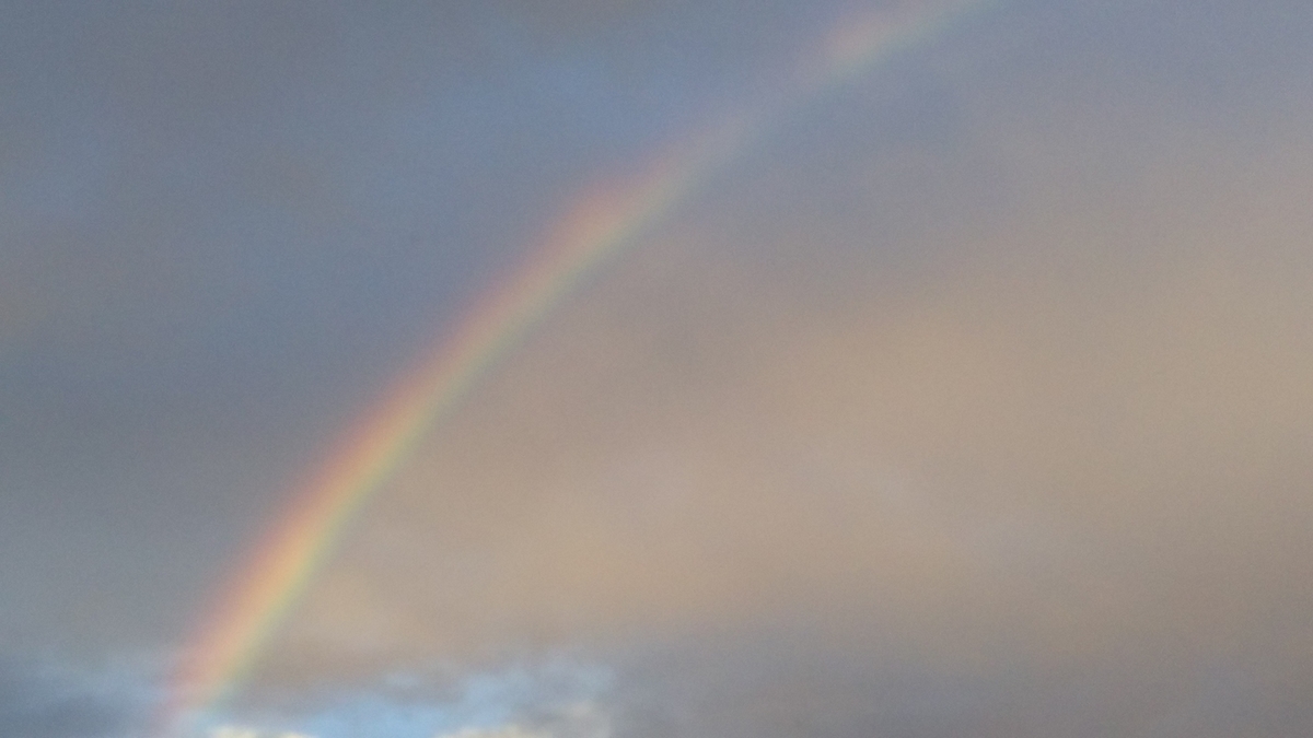 f:id:LSM:20190727082451j:plain