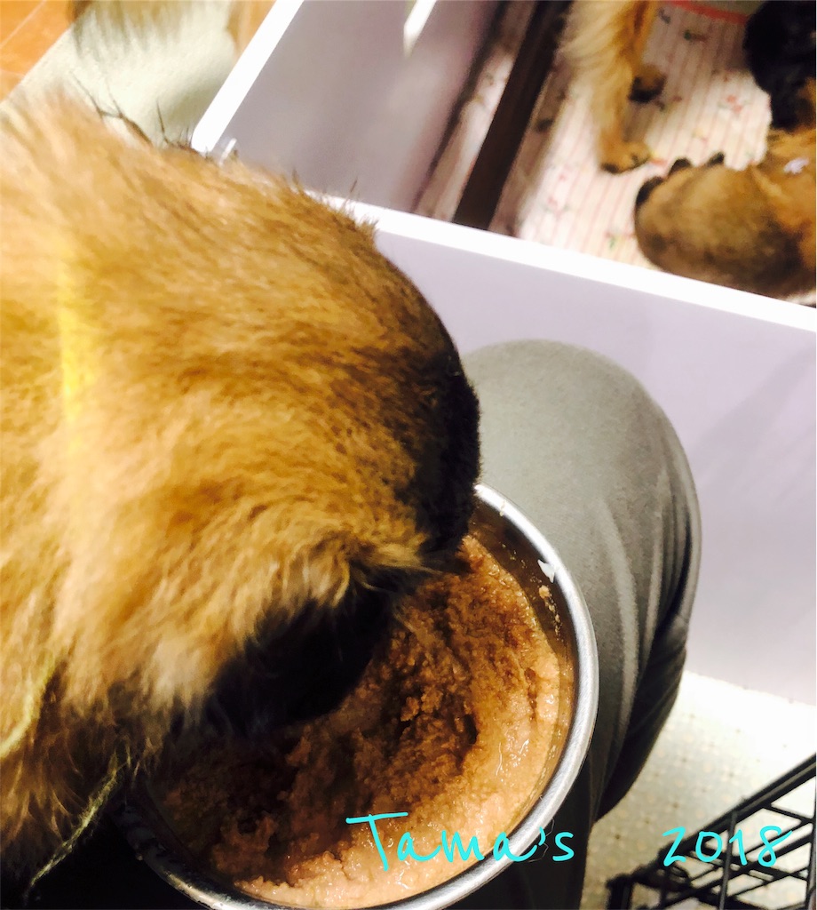 f:id:La-Plume-Douce:20180904103908j:image