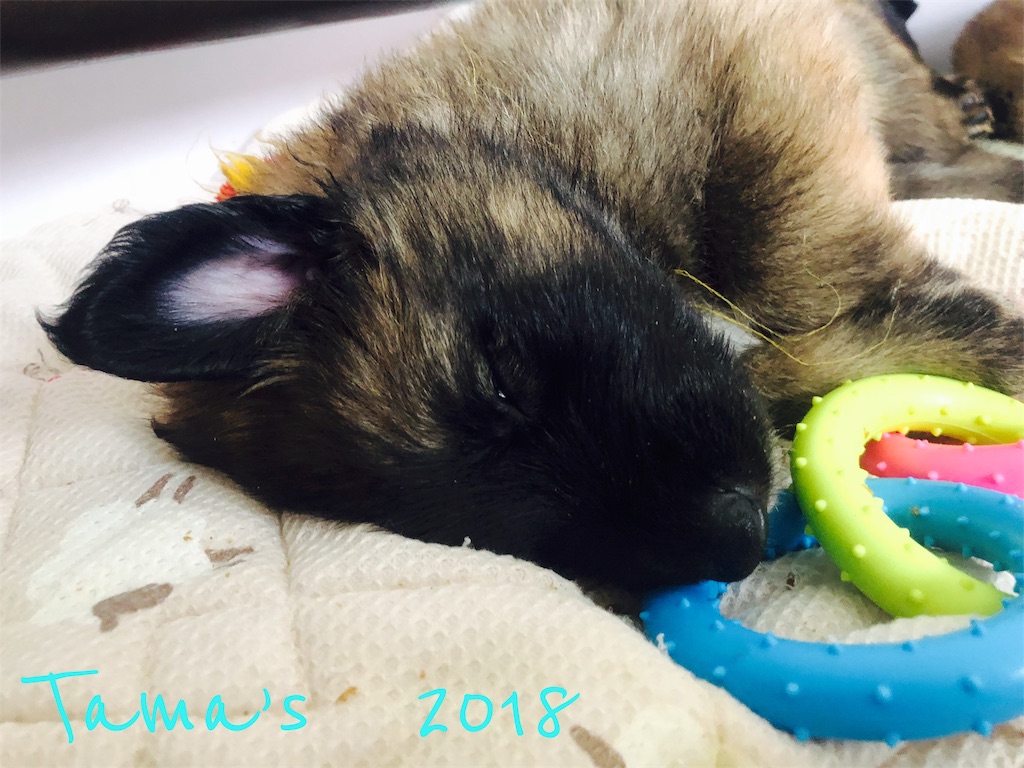 f:id:La-Plume-Douce:20180907205905j:image