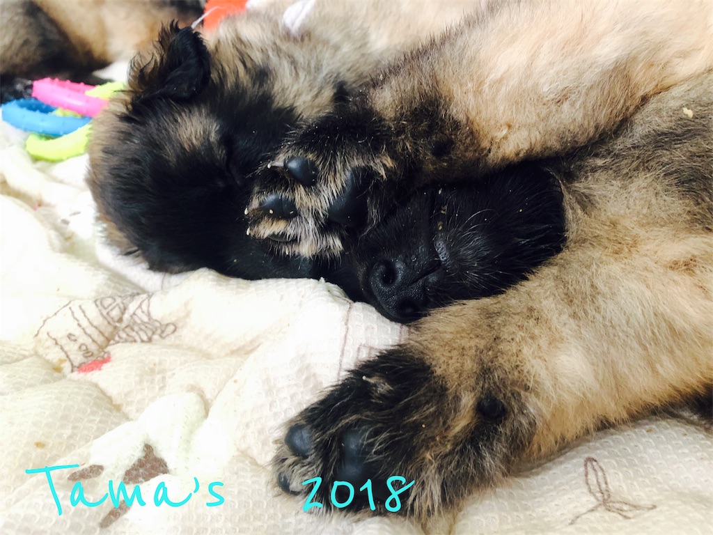 f:id:La-Plume-Douce:20180907205919j:image