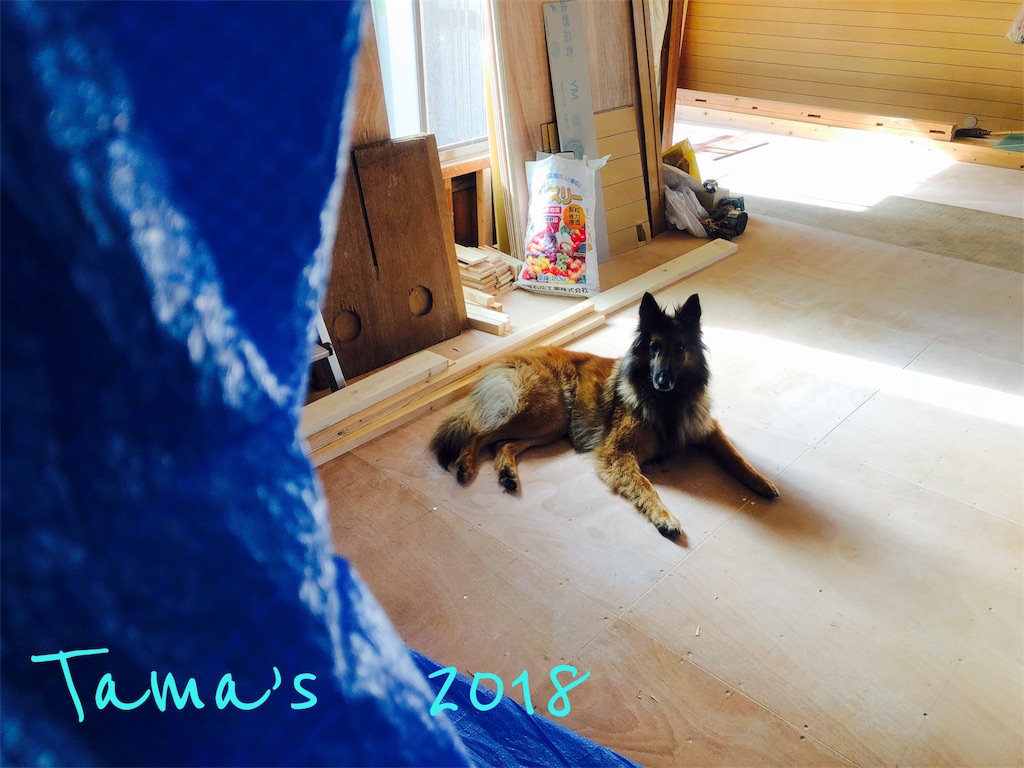 f:id:La-Plume-Douce:20180910190444j:image f:id:La-Plume-Douce:20180910190444j:image