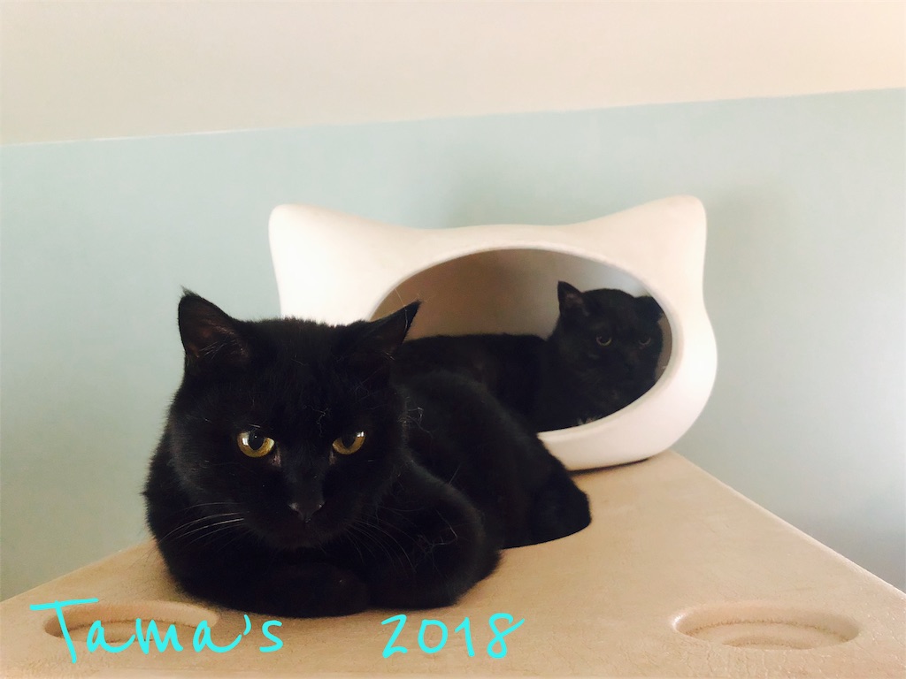 f:id:La-Plume-Douce:20180910190447j:image f:id:La-Plume-Douce:20180910190447j:image