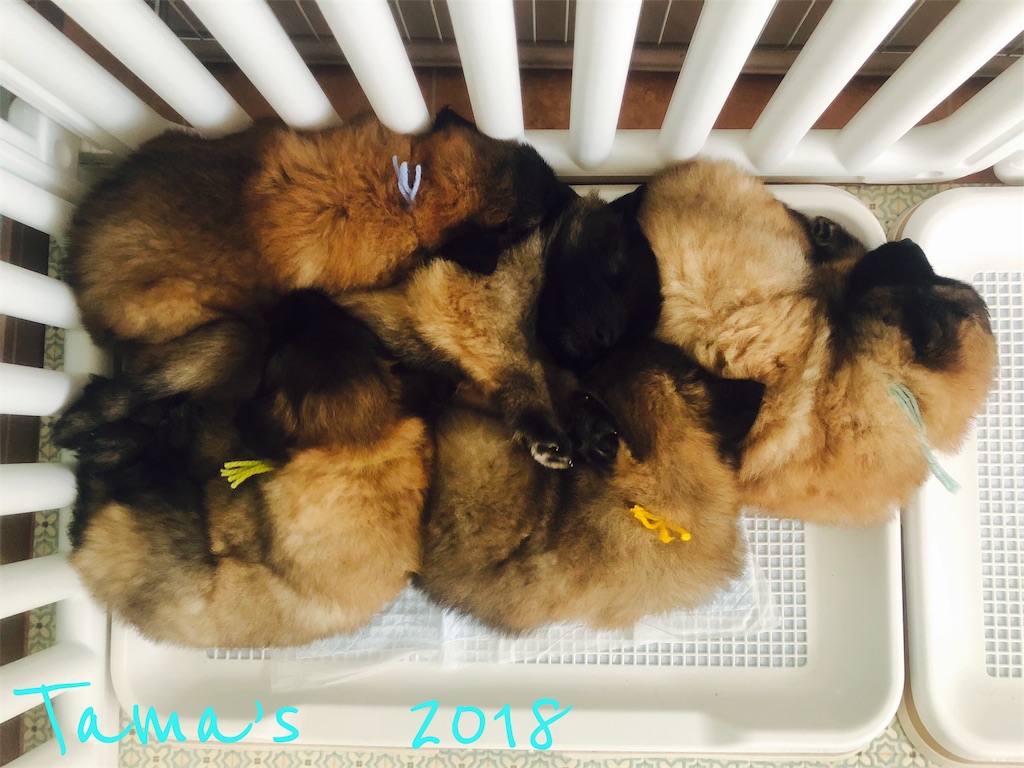 f:id:La-Plume-Douce:20180911224101j:image