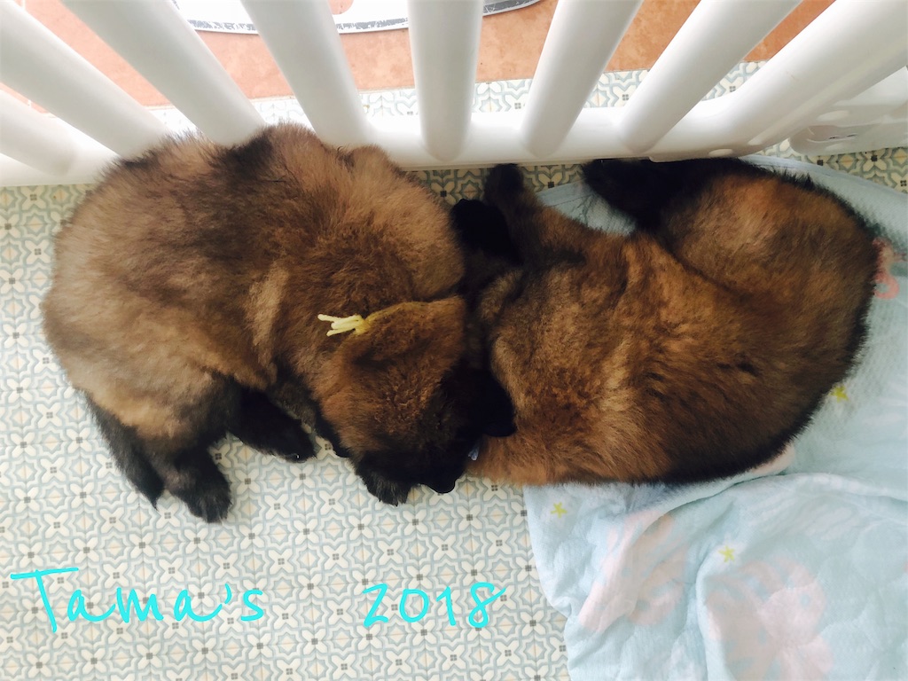 f:id:La-Plume-Douce:20180911224104j:image