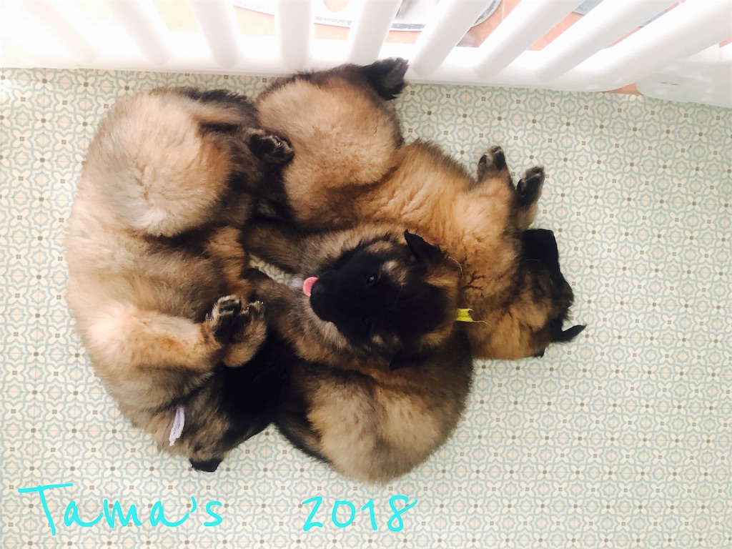 f:id:La-Plume-Douce:20180914151032j:image