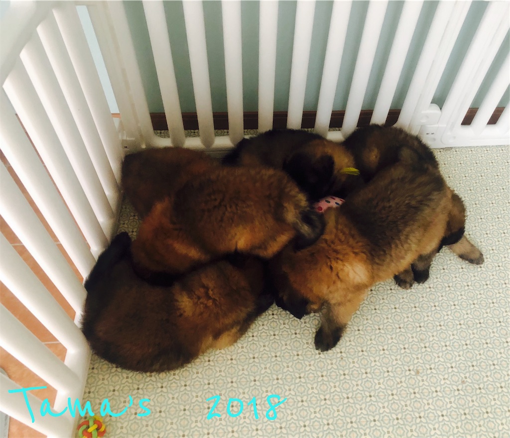 f:id:La-Plume-Douce:20180914151035j:image