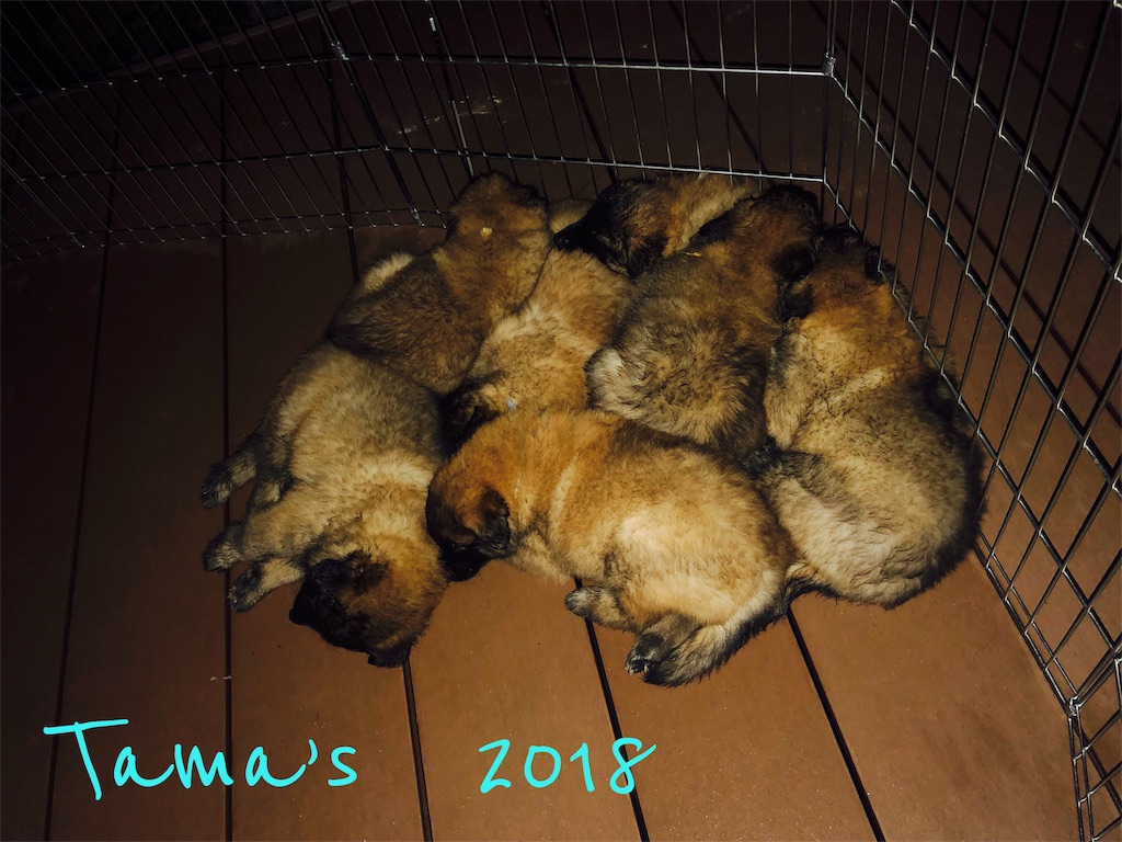 f:id:La-Plume-Douce:20180920151747j:image