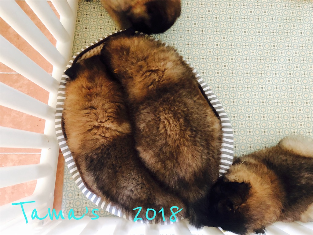 f:id:La-Plume-Douce:20180920152247j:image