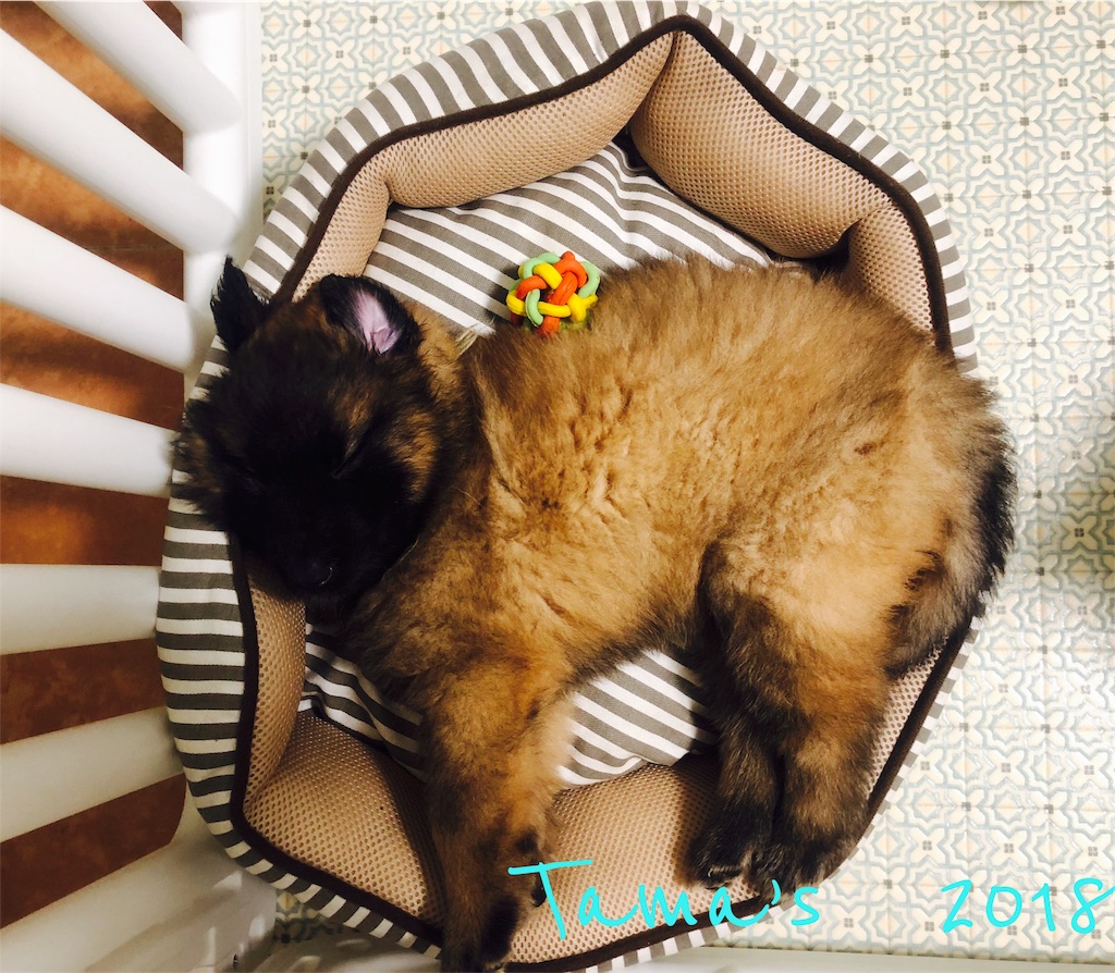 f:id:La-Plume-Douce:20180920152251j:image