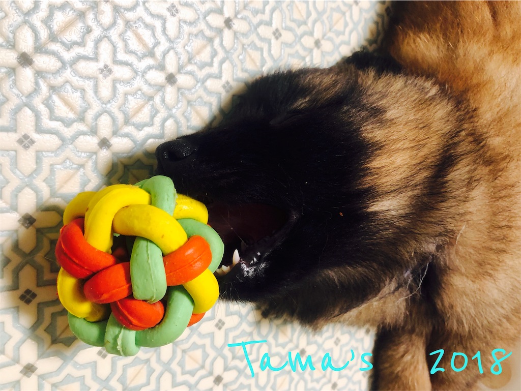 f:id:La-Plume-Douce:20180920152259j:image