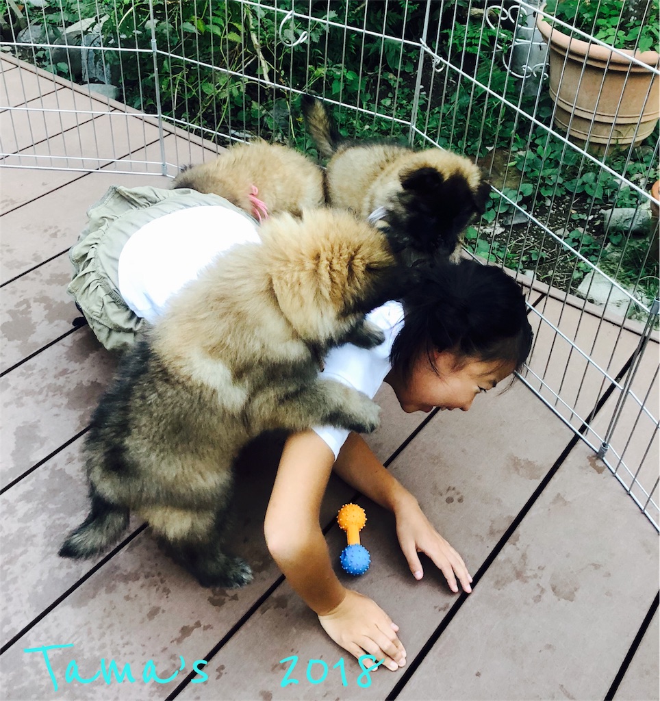 f:id:La-Plume-Douce:20180928220308j:image